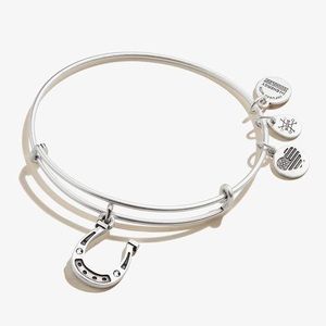 Alex and Ani horseshoe bangle